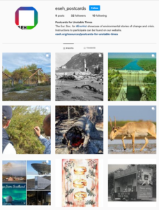 Screenshot of the project's Instagram page